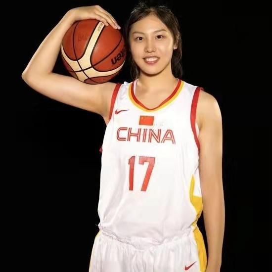 msi中国