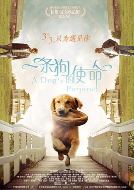 国产嫩草影院在线观看